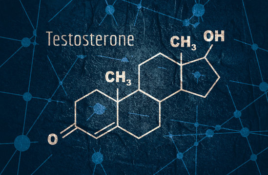 Chemical molecular formula hormone testosterone. Infographics illustration.