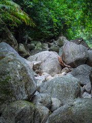 Piles of stones in the jungle