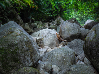 Naklejka na ściany i meble Piles of stones in the jungle
