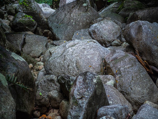Piles of stones in the jungle