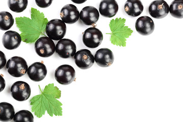 black currant with leaves isolated on white background with copy space for your text. Top view. Flat lay pattern