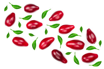 Red berries of cornel or dogwood decorated with green leaves isolated on white background with copy space for your text. Top view. Flat lay