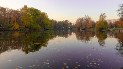 Fototapeta premium reflection of autumn trees in water