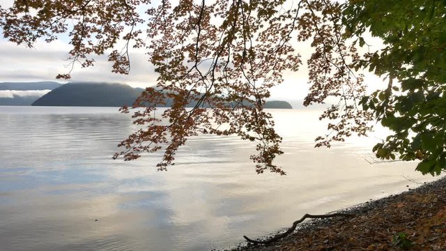 Fall Leaves At Lake Toya