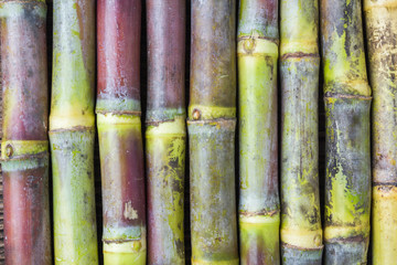 Close up sugarcane on wood background close up