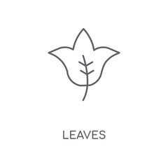 Fototapeta premium leaves icon