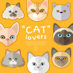 Set of cat face on yellow background : Vector Illustration