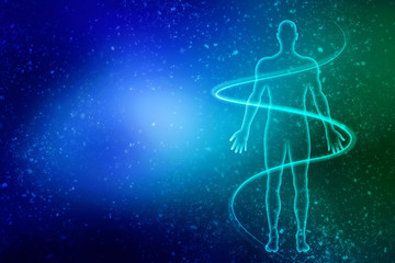 2d illustration Human Male Muscle Body