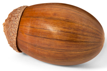 Ripe acorns isolated on a white background