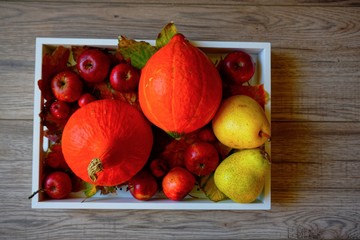  colorful pumpkins on the table