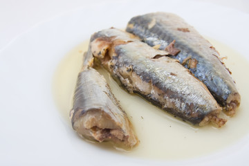 fish in can