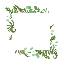 Vector card floral design with green watercolor, eucalyptus, forest fern, herbs, eucalyptus, branches boxwood, buxus, botanical green, decorative frame, square