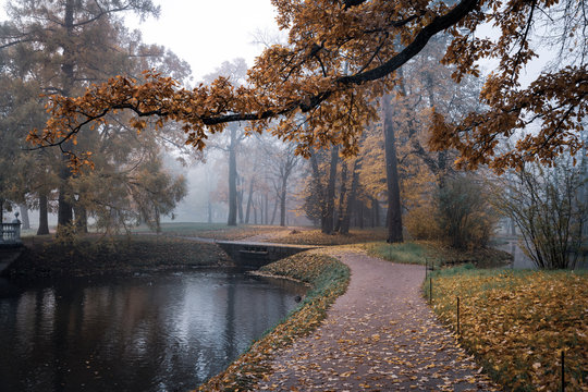 Foggy autumn morning in Catherine Park, Pushkin, St. Petersburg, Russia. October 2018