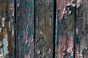 Vintage painted wooden background texture of wooden weathered rustic wall with peeling paint. Empty space for copy old wood texture. Cracked paint with lots of small cracks, abstract grunge texture