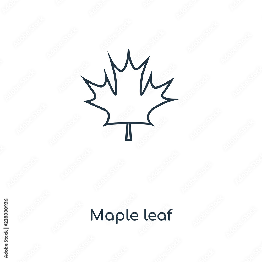 Canvas Prints maple leaf icon vector
