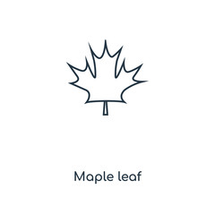 maple leaf icon vector