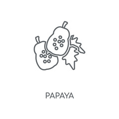 Fototapeta premium papaya icon
