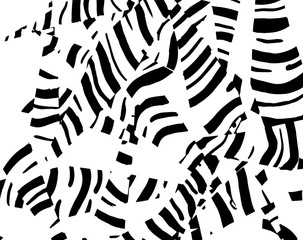 White and black grunge pattern. Background. Brush. Vector.