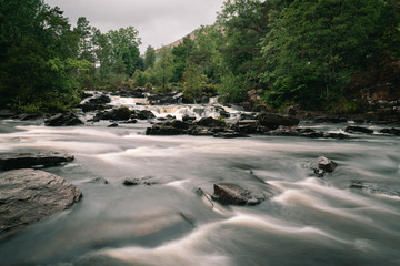 River flowing in forest long exposure