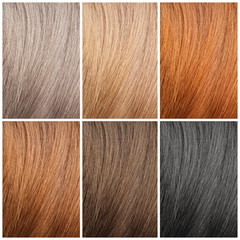 Naklejka premium Set with color hair samples. Beauty and professional treatment