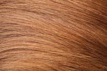 Texture of healthy red hair as background, closeup