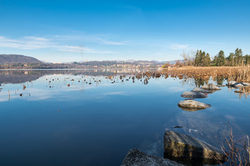 Lake Comabbio, beautiful natural lake of glacial origin, in northern Italy. View from the bike path at Varano Borghi towards the town of Ternate. Beautiful day of late autumn