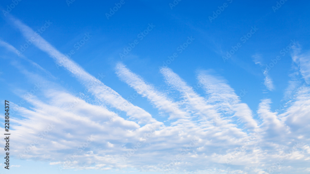 Wall mural panoramic view of blue sky with palm shaped clouds