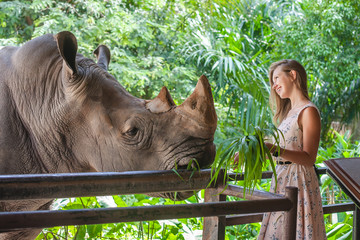 Young woman with long hair and bunch of grass in her arms feeding the big sad rhino in the zoo, Thailand
