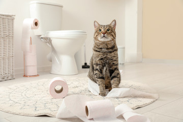 Cute cat playing with roll of toilet paper in bathroom © New Africa