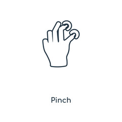 Fototapeta na wymiar pinch icon vector