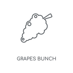 grapes bunch icon
