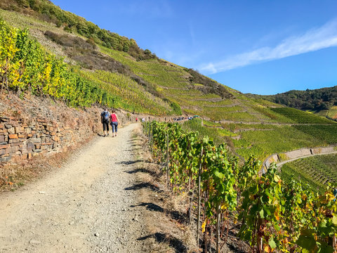 Wanderer auf dem Rotweinwanderweg im Ahrtal