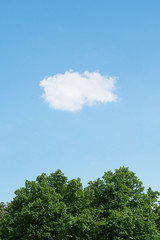 blue sky with single white cloud over green treetops, vertical nature background with copy space