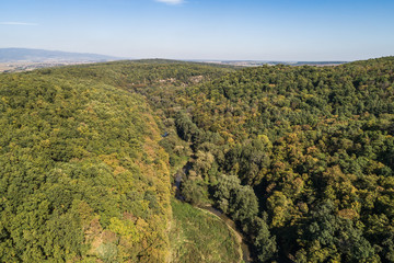 Waldlandschaft im Herbst aus der Luft