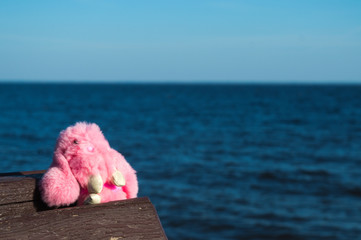Forgotten pink rabbit toy on bench