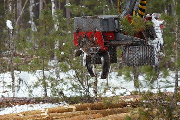 Claw manipulator of industrial forest harvester, closeup. Mechanic tool for gripping trunks and cut...