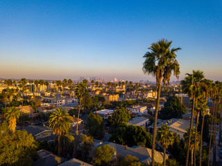 Beverly Hills street with palm trees at sunset in Los Angeles with Hollywood sign on the horizon.