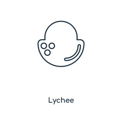 lychee icon vector