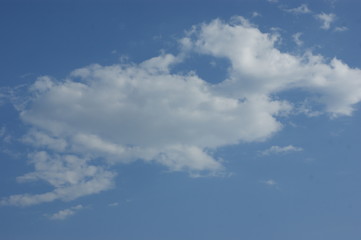 SONY DSC