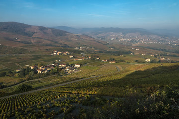Panorama de puis le Mont Brouilly sur les vignobles de Brouilly et Quincié en Beaujolais , Rhône...