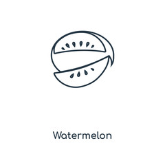 watermelon icon vector