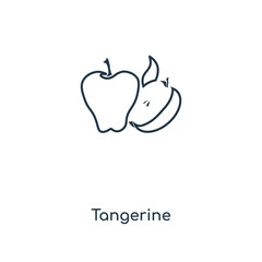 tangerine icon vector