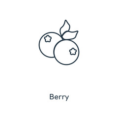 blueberry icon vector