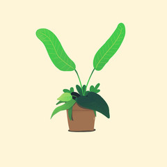 Plant in pot isolated on light yellow background