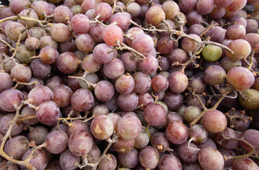 grapes, pink grapes, grapevine