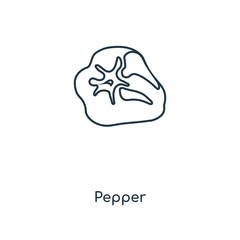 pepper icon vector
