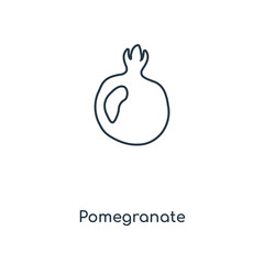 pomegranate icon vector