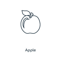 apple icon vector