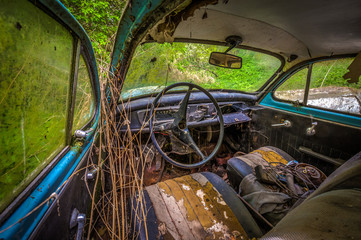 Interior of forgotten car decaying in the garden, urbex Czech republic