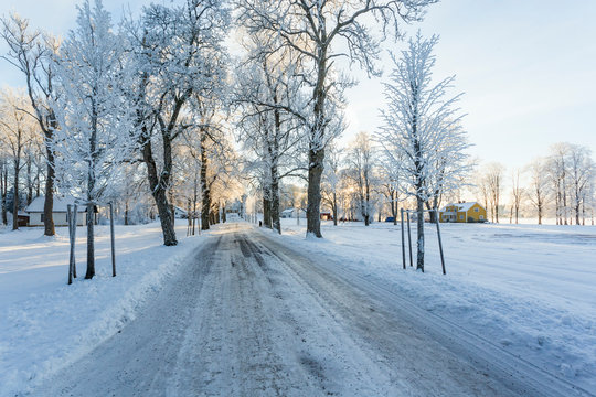 Winter landscape with a road through a tree avenue